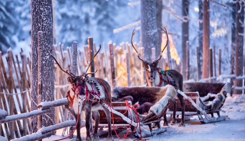 AdobeStock_301366730